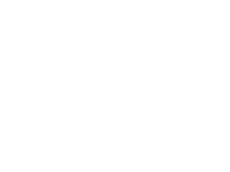 Puma - Partner LUGI handboll