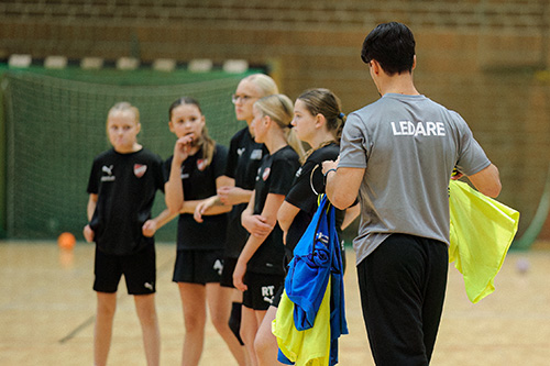 Handballcamp LUGI handboll